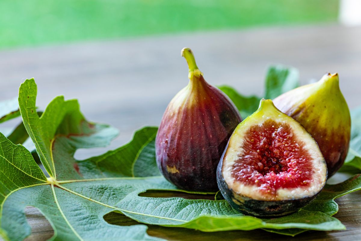 Figo